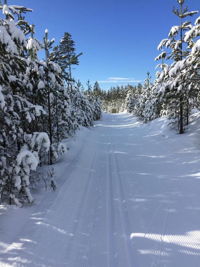 Stf Tre Bjoernar B&B Alvdalen Luaran gambar