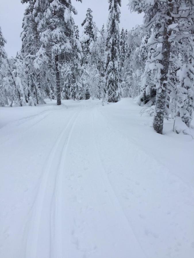 Stf Tre Bjoernar B&B Alvdalen Luaran gambar